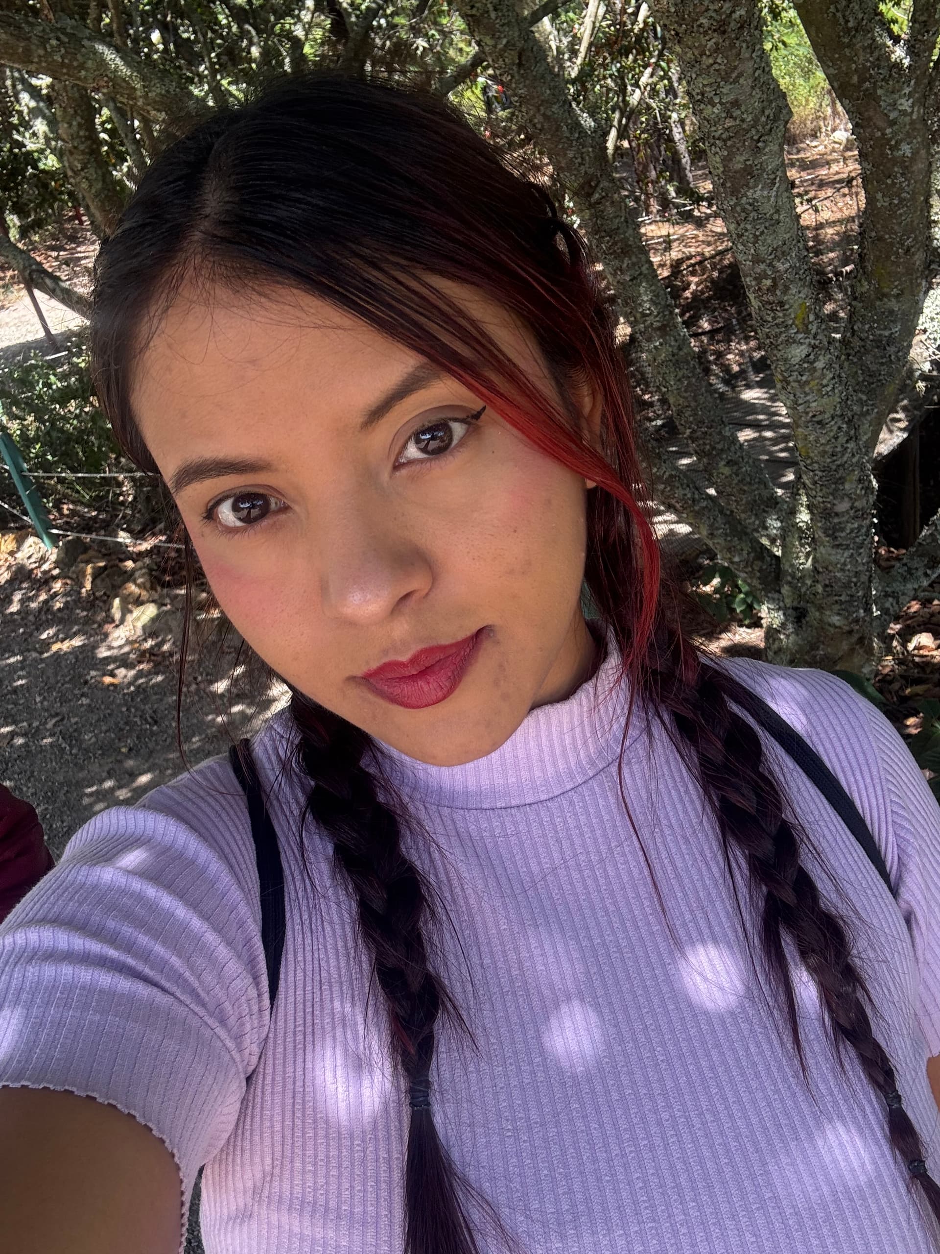Nicolle Dayana Algarin Rodriguez